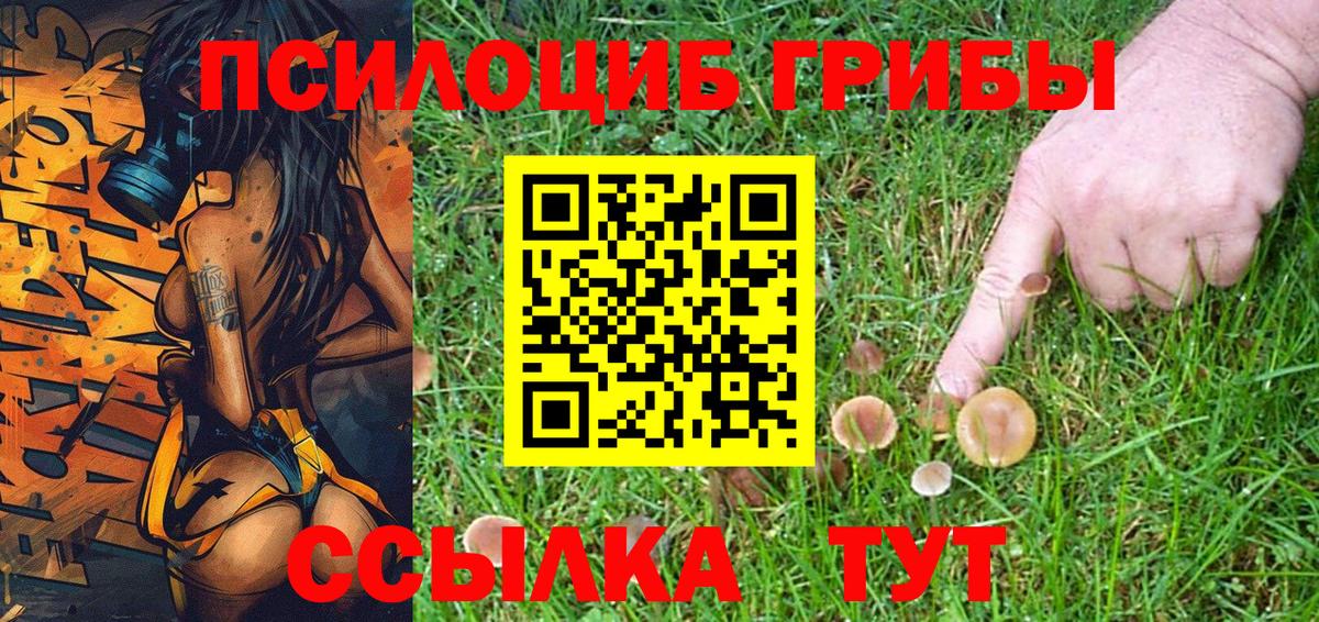 Псилоцибиновые грибы MAGIC MUSHROOMS  Вход с VPN  Псилоцибиновые грибы GOLDEN TEACHER  как найти наркотики  Людиново 